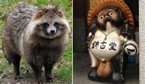 Japanese Animals Symbolism | Japan Avenue