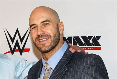 Cesaro Net Worth | Celebrity Net Worth