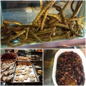 Night Market Food Tour in Shanghai - She's Cookin' | food and travel