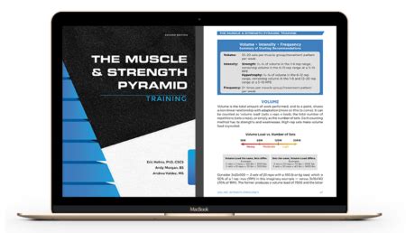 The Muscle and Strength Pyramids: Nutrition and Training : The Muscle ...