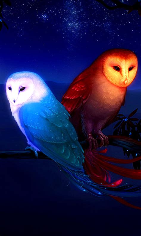 85+ Wallpaper Cute Owl Images & Pictures - MyWeb