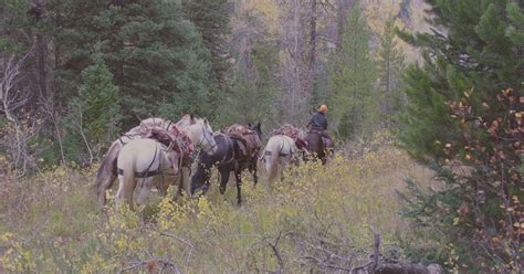 Hunting Experience - Spotted Horse Ranch Jackson Hole