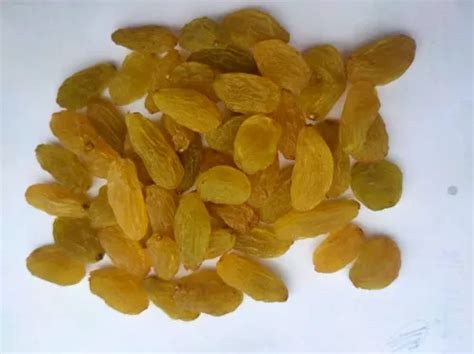 Kismis Dry Fruit, Packaging Type: Carton at Rs 170/kilogram in Kolhapur | ID: 22495033433