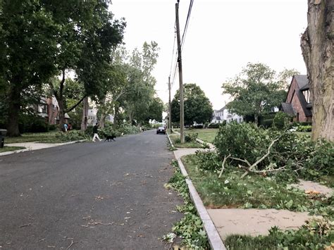 Storm Debris Pick-Up in West Hartford Begins Aug. 10 - We-Ha | West ...