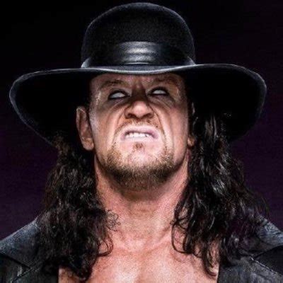 Undertaker @undertaker - Twitter Profile | Sotwe