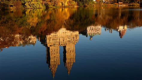 Fall foliage 2023: Central Park trees reach peak colors – NBC New York