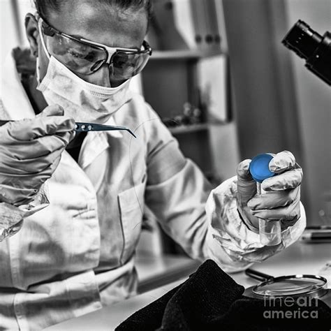 Forensics Expert Examining Evidence Photograph by Microgen Images/science Photo Library - Fine ...