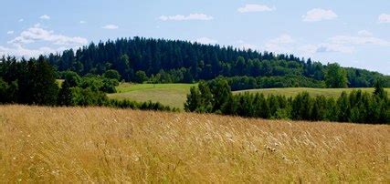 Geography and climate - Estonia