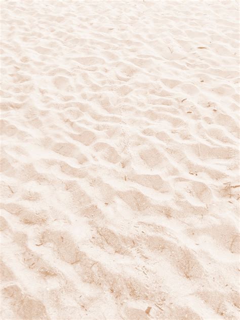 Free Photo | Fine beach sand in the summer