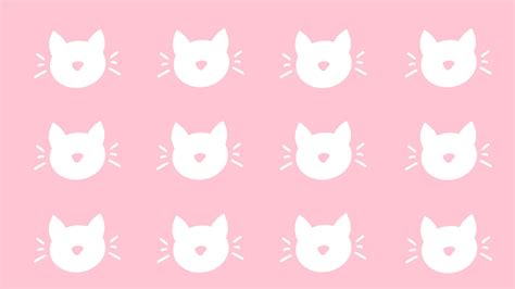 Pink&white cats | Cat dark, White cats, Pink cat