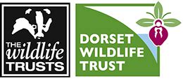 Home | Dorset Wildlife Trust