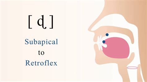 [ ɖ ] voiced unaspirated subapical retroflex stop - YouTube