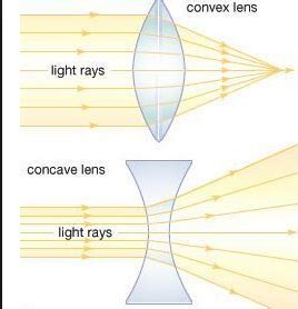 Difference Between Convex And Concave Lens (With Examples) - VIVA ...