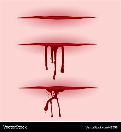 Blood cut Royalty Free Vector Image - VectorStock