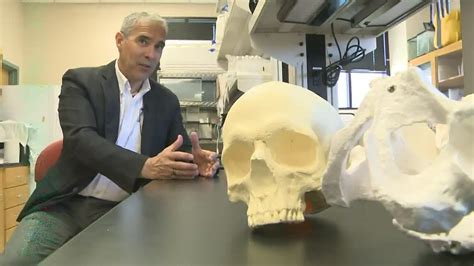 The three stages of identifying human remains | 12news.com