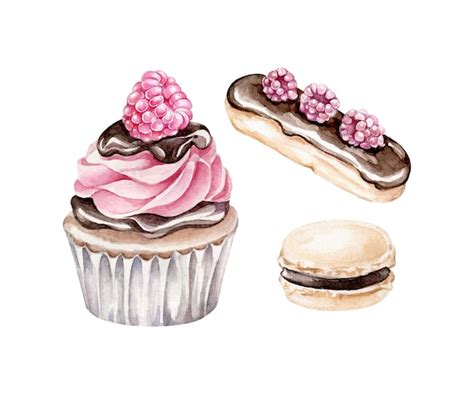Premium Vector | Watercolor cupcake,eclair,macaroon isolated.Chocolate sweets