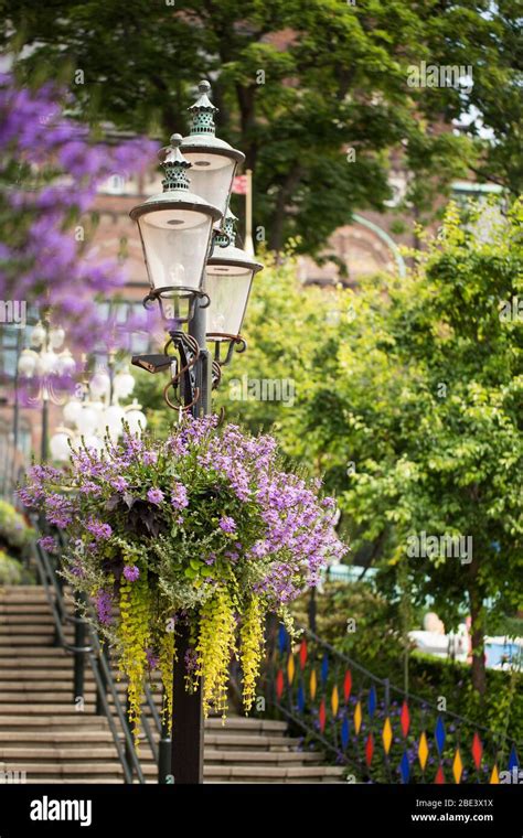 Flowers blooming in summer decorate a historic lamp post in Tivoli ...