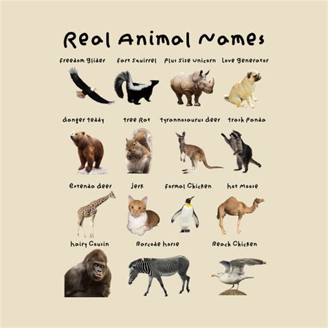 Real Animal Names - Animals - T-Shirt | TeePublic