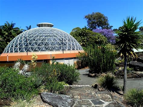 anythinglily: Brisbane City Tour Pt 2: Brisbane Botanic Gardens