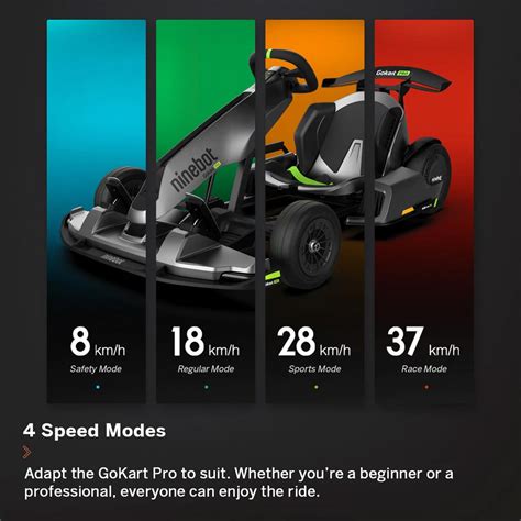 Segway Ninebot Go Kart Pro Electric Scooter - Grey