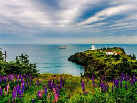 Grand Manan Island lighthouse | Smithsonian Photo Contest | Smithsonian ...