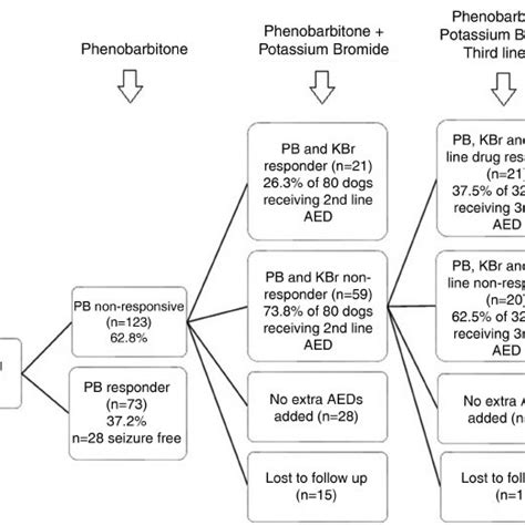 How Much Does Phenobarbital Help Dogs