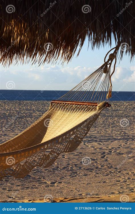 Hammock stock photo. Image of beach, liberty, relax, vacation - 2713626