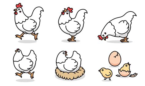 Cartoon drawing of white chicken family, vector 5017974 Vector Art at Vecteezy