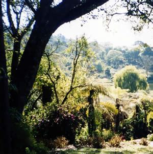 The Vumba Mountains Zimbabwe: Africa Travel Guide