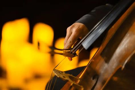 Classical music concerts India | Official Candlelight Concerts