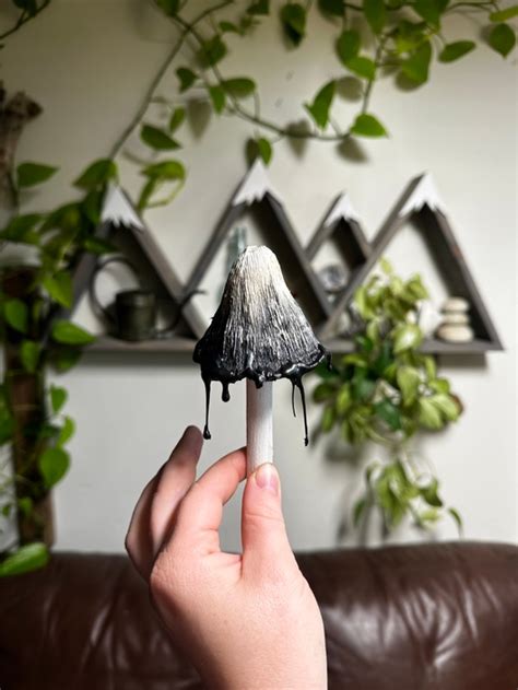 Inky Cap Mushroom | Paper Botanical Society