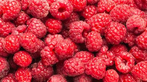 Premium Photo | Tasty red raspberry.