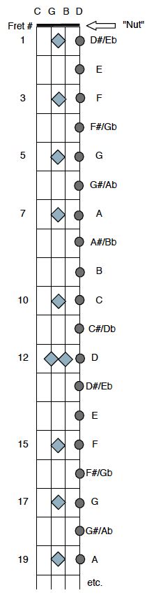 Plectrum Banjo Chords – Scott Anthony Banjo/Guitar