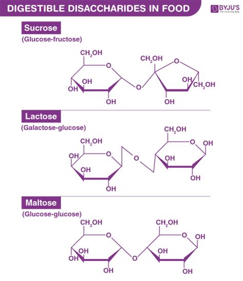 Structure Of Maltose Lactose And Sucrose