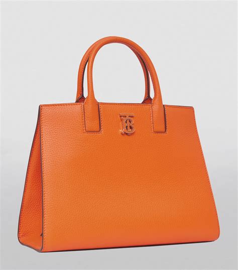 Mini Leather Frances Tote Bag