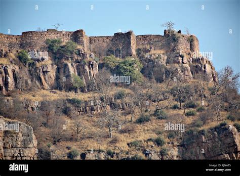 Ranthambore Fort in Ranthambore National Park, India Stock Photo - Alamy