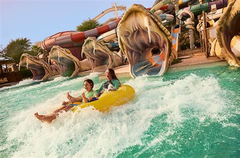 7 thrilling water activities in Abu Dhabi | Visit Abu Dhabi | Experience Abu Dhabi