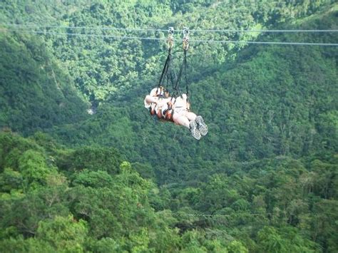 36 best images about Ziplining Puerto Rico on Pinterest | Parks, Tropical forest and Rincon