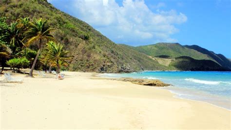 St Croix Carambola Beach resort US Virgin Islands | St. croix, St croix ...