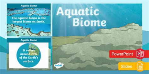 Aquatic Biome Presentation | World Oceans Day | Twinkl USA