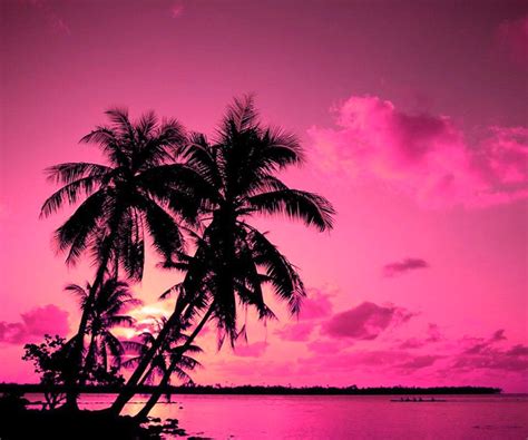 Pink sunset | Tahiti, Belle photo, Ile paradisiaque