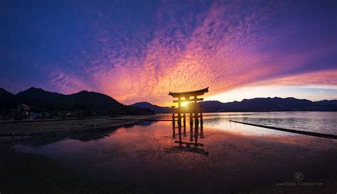 The wonderful sunset of the Itsukushima Shinto Shrine in Hiroshima, Japan.