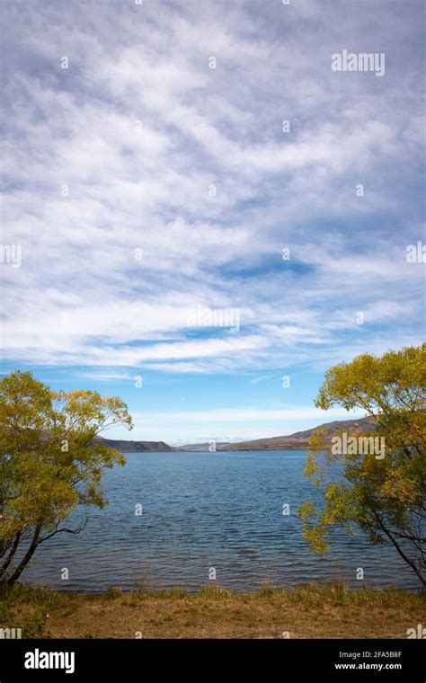 Trees beside Lake Aviemore, from Alps to Ocean cycle trail near ...