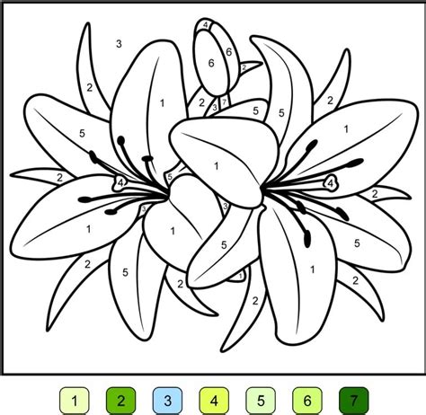 Lily Flower Color by Number Coloring Page - Free Printable Coloring Pages for Kids