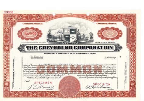 File:Greyhound stock certificate.jpg - Wikimedia Commons