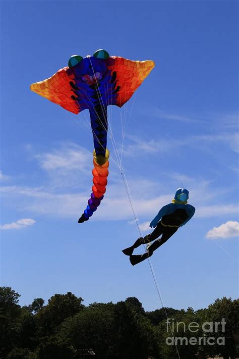 Unique kites in the sky Photograph by Douglas Sacha - Fine Art America