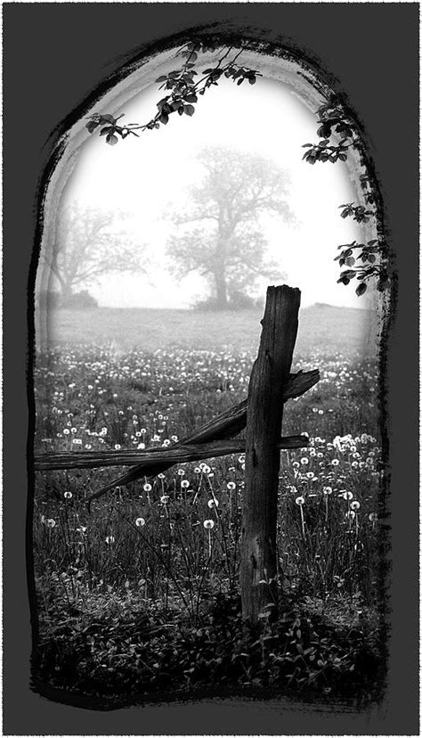 Broken Fence Designer View Photograph by Harold Silverman - Trees & Old Fences