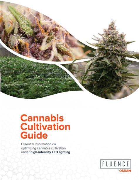 Cannabis-cultivation-guide - Fluence Bioengineering