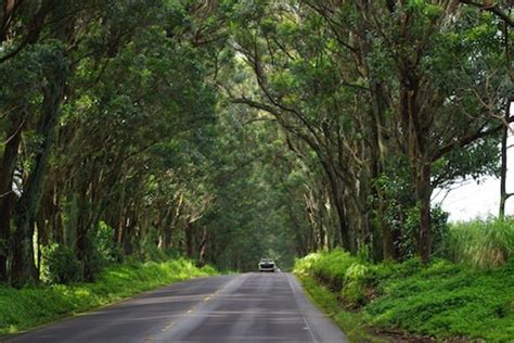 Things to do in Koloa: Kauai, HI Travel Guide by 10Best