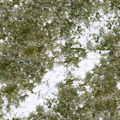 Snow with grass texture seamless 12792